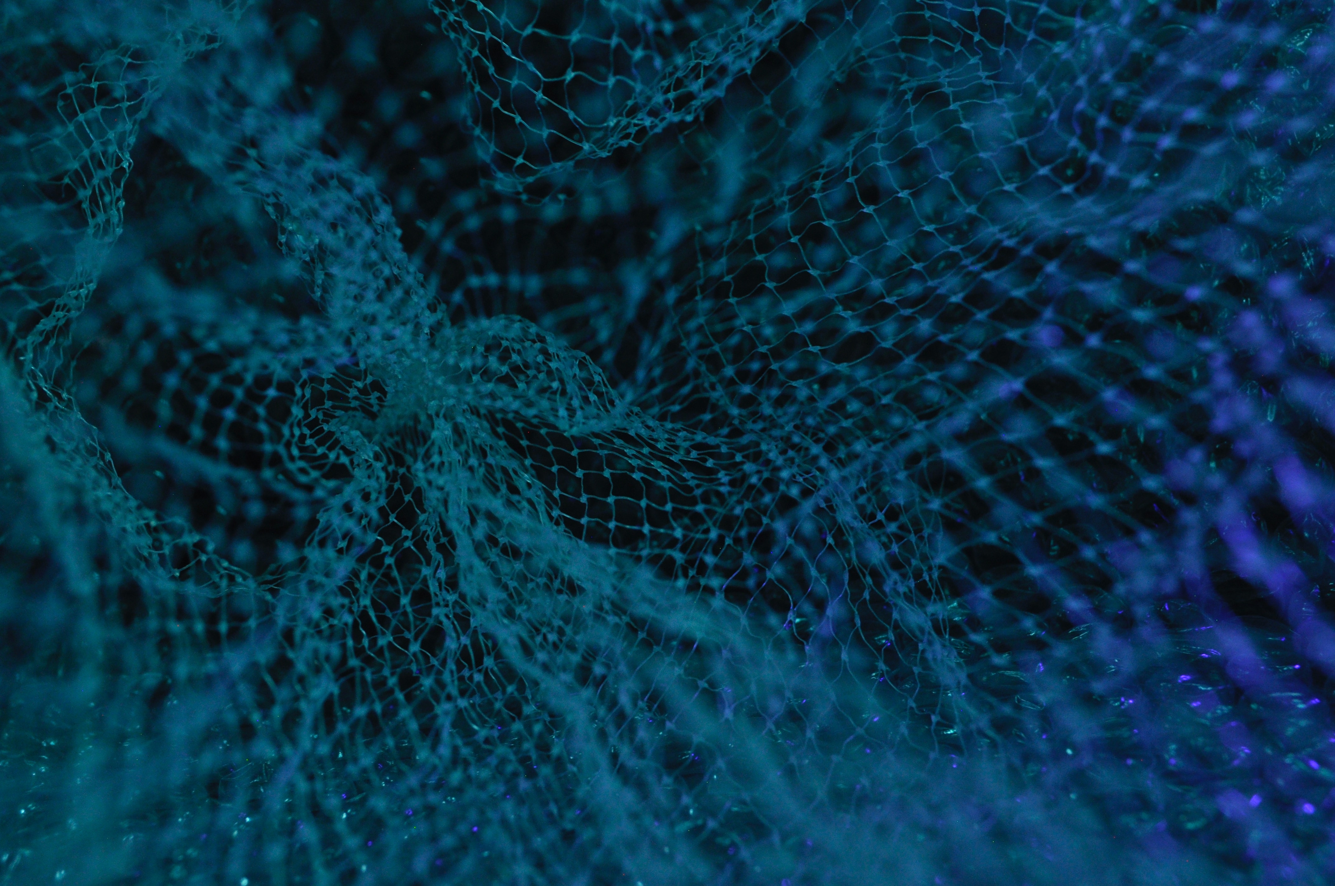 DMS Digital Data Migrations